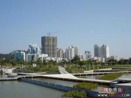 ������Ӱ