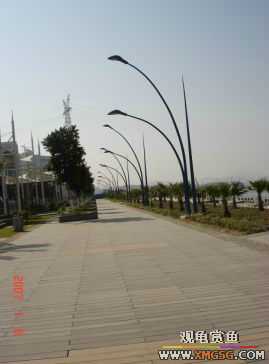 ������Ӱ