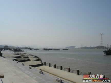 ������Ӱ