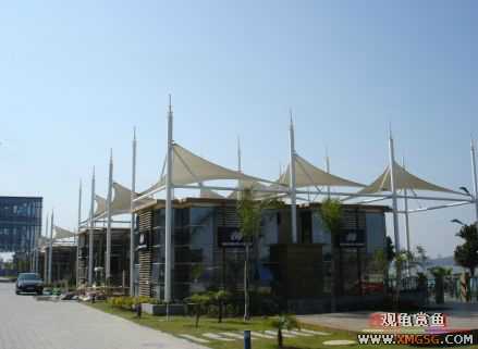 ������Ӱ