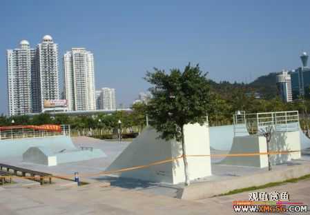 ������Ӱ