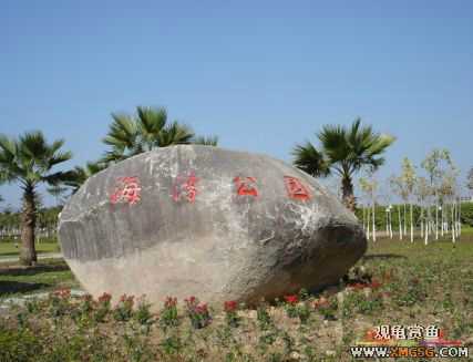 ������Ӱ