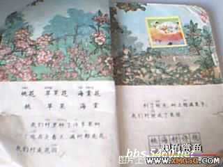 [ת��]һ������������10���ͼƬ��80������ҵĽ���