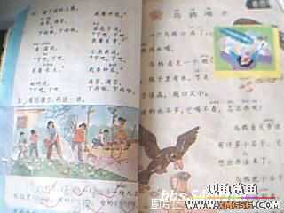 [ת��]һ������������10���ͼƬ��80������ҵĽ���