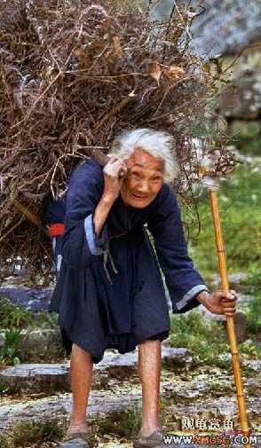 [ת��]�����һ����������Ƭ���������ˡ���