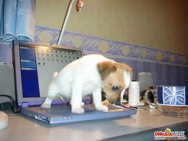 [ת��]����һ�β���������һ����Ǯ