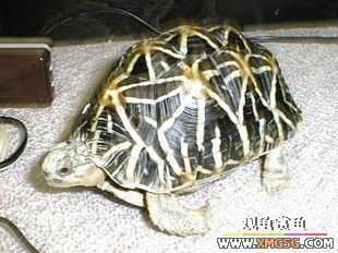 ��½��~����