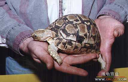 ��½��~����