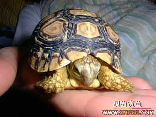 ��½��~����