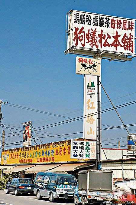 �����˳�֩����?