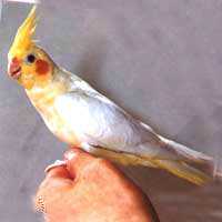 [�չ�]�չ����������ݡ����ţ�