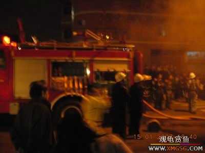 �����ֳ�