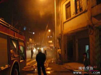 �����ֳ�