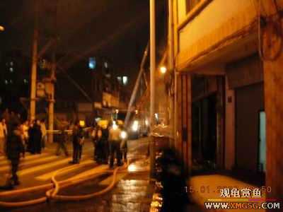 �����ֳ�