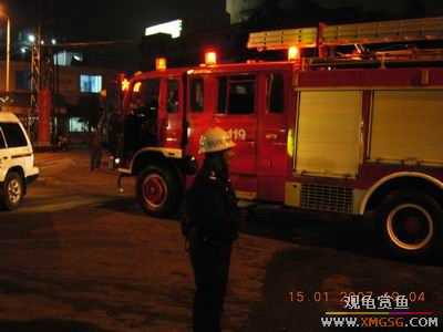 �����ֳ�