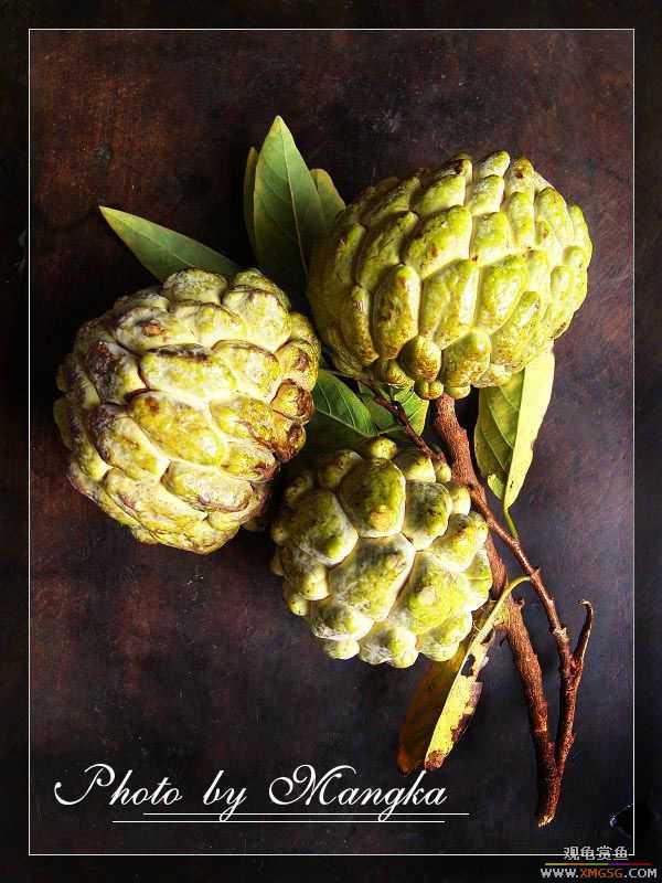 ����֦������