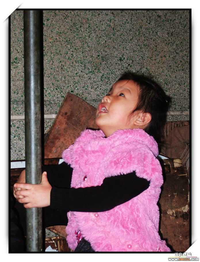 1��21�ղ��伯��FB��PP