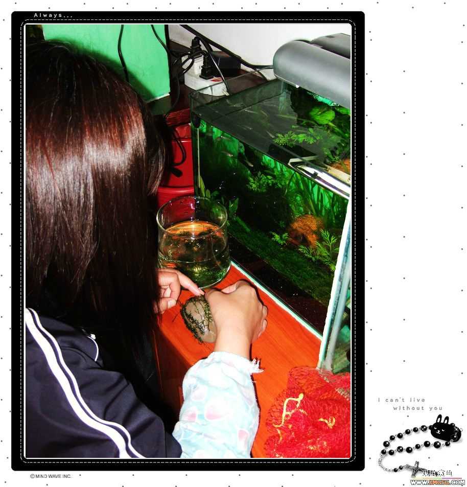 1��21�ղ��伯��FB��PP