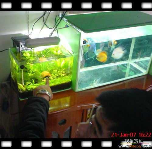 [ԭ��]1��21�ղ��伯��FB��PP [ 2 ] (Ϊ�˼Ӿ�)