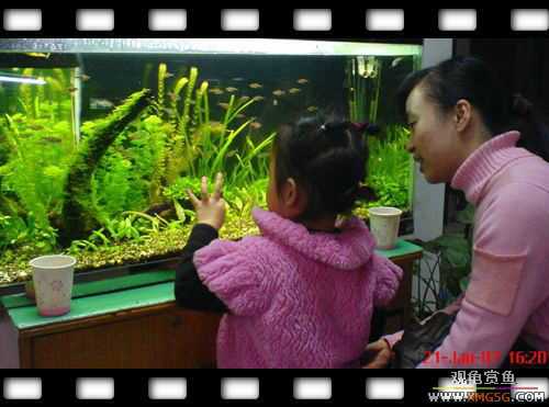 [ԭ��]1��21�ղ��伯��FB��PP [ 2 ] (Ϊ�˼Ӿ�)