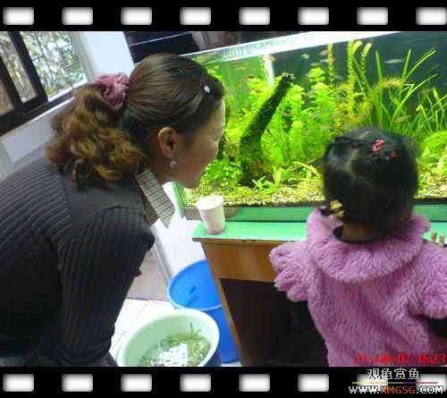 [ԭ��]1��21�ղ��伯��FB��PP [ 2 ] (Ϊ�˼Ӿ�)