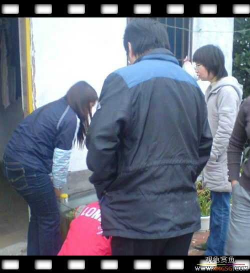 [ԭ��]1��21�ղ��伯��FB��PP [ 2 ] (Ϊ�˼Ӿ�)