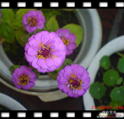 [ԭ��]1��21�ղ��伯��FB��PP [ 2 ] (Ϊ�˼Ӿ�)