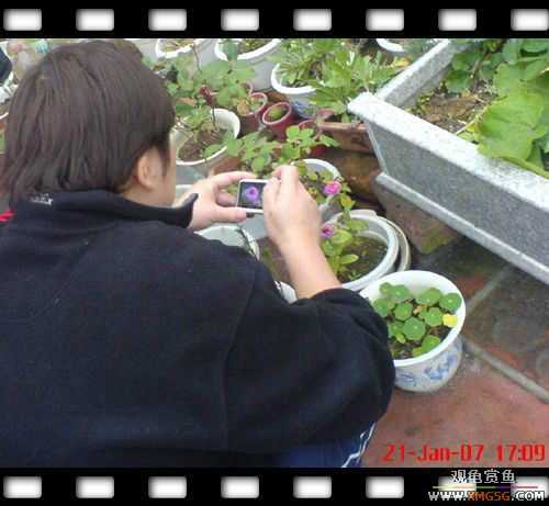 [ԭ��]1��21�ղ��伯��FB��PP [ 2 ] (Ϊ�˼Ӿ�)