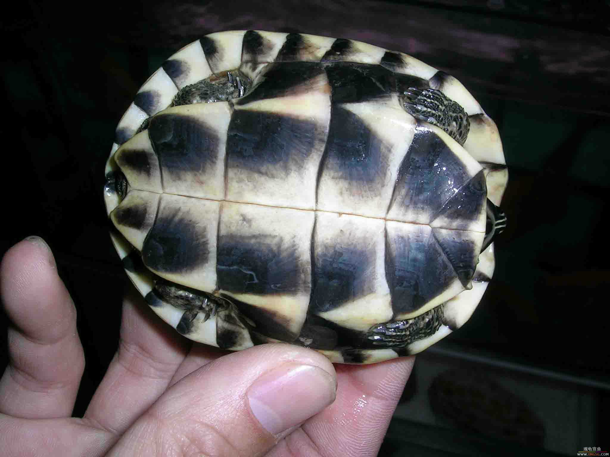 [ԭ��]1��21���伯��FB��PP(3)