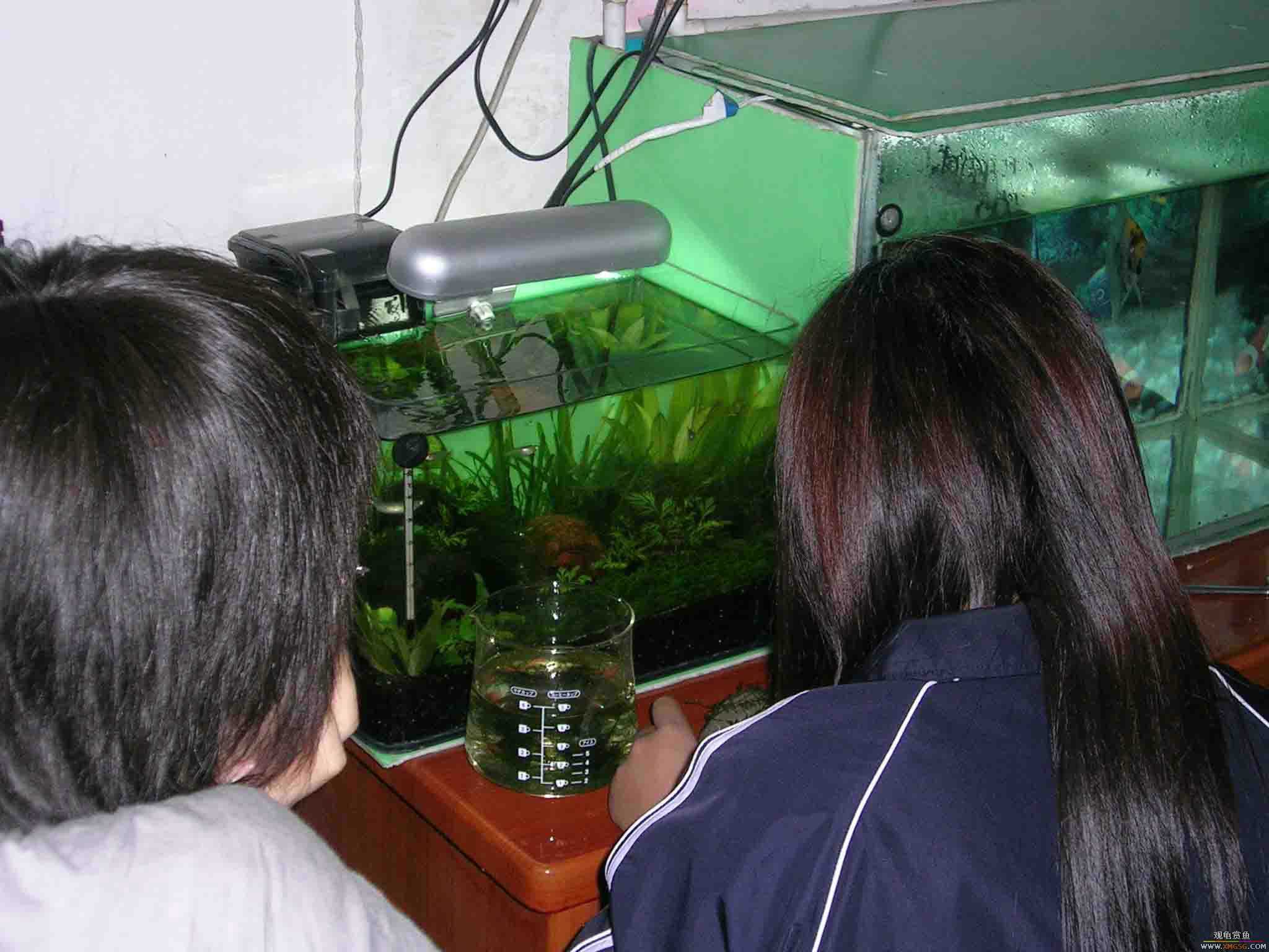 [ԭ��]1��21���伯��FB��PP(3)