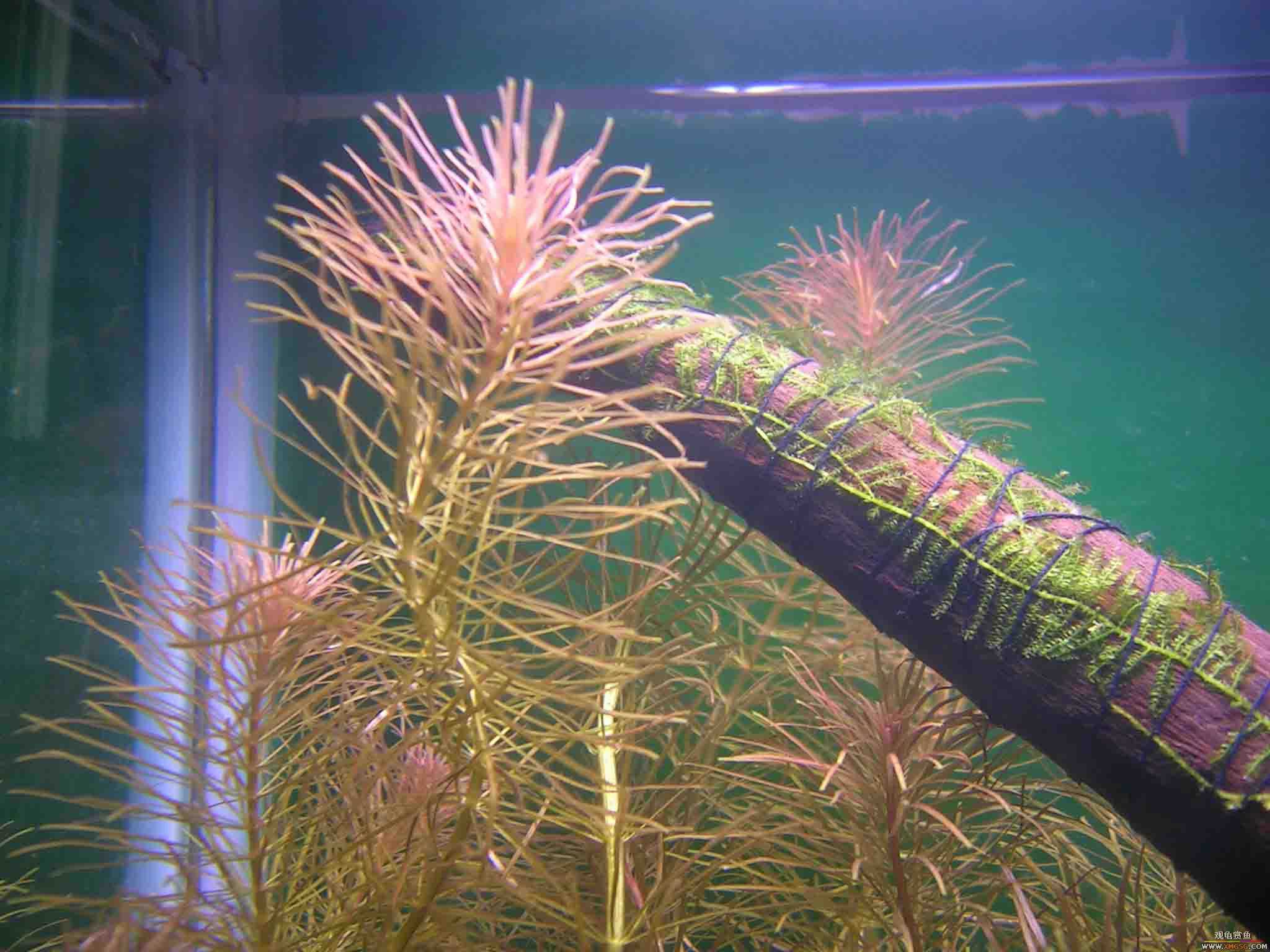 [ԭ��]1��21���伯��FB��PP(3)