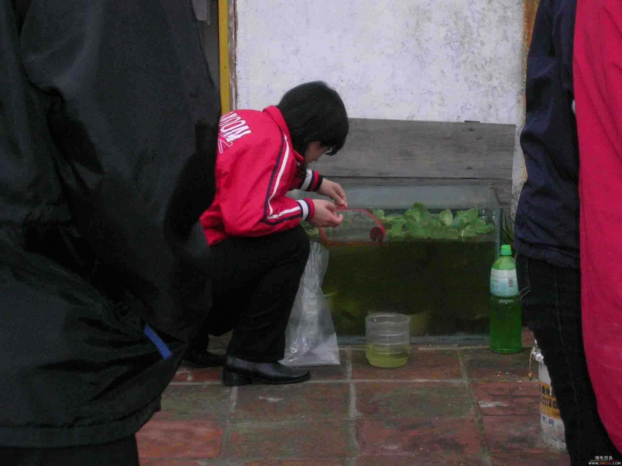 [ԭ��]1��21���伯��FB��PP(3)