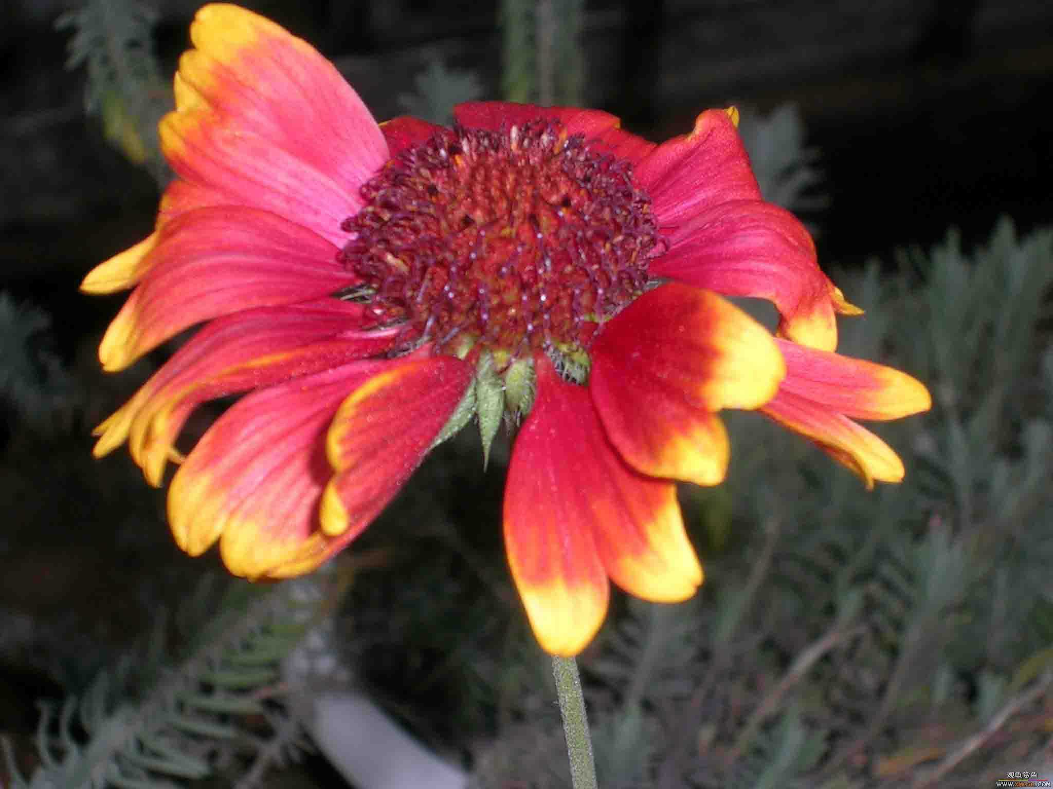 [ԭ��]1��21���伯��FB��PP(3)