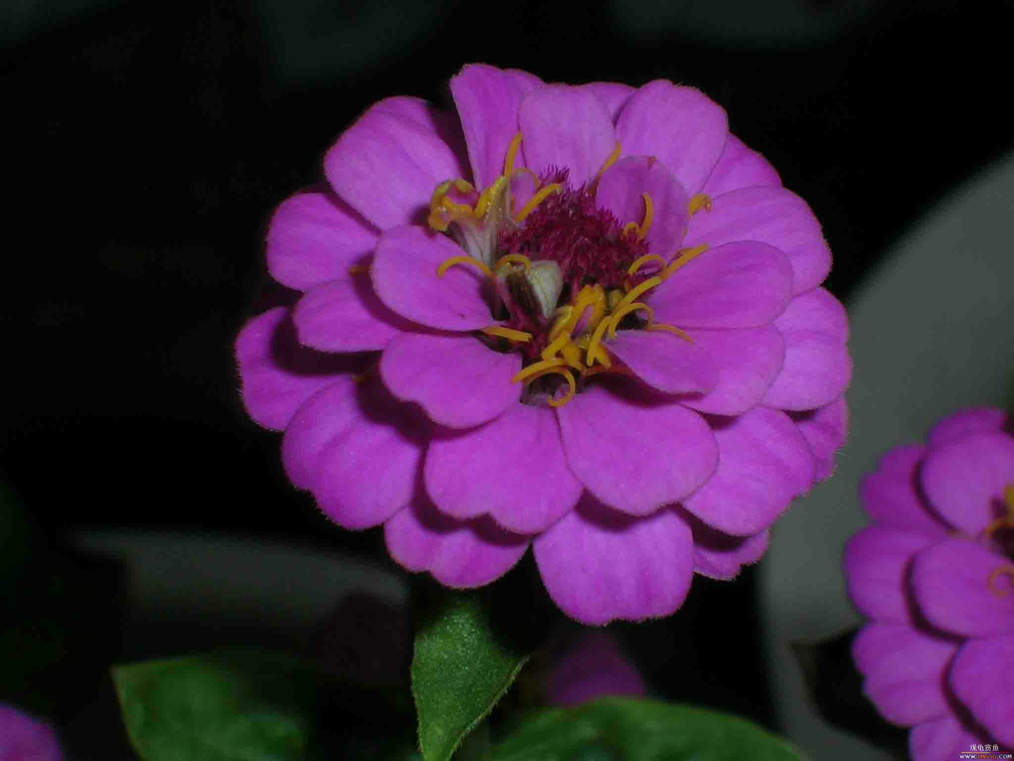 [ԭ��]1��21���伯��FB��PP(3)