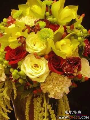 [����]ף ����  ��ʦ�»���֣�