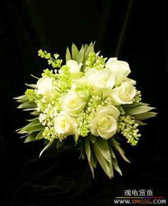 [����]ף ����  ��ʦ�»���֣�