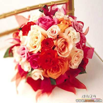 [����]ף ����  ��ʦ�»���֣�