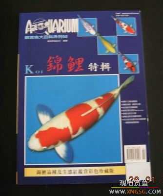 ���鵽����̨��������ٿƣ�