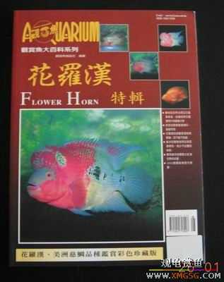 ���鵽����̨��������ٿƣ�