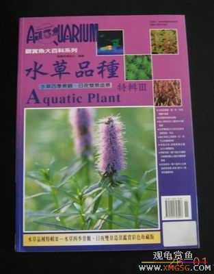 ���鵽����̨��������ٿƣ�