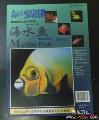 ���鵽����̨��������ٿƣ�