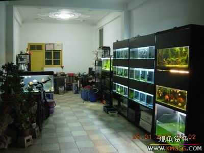 �ϵ�����