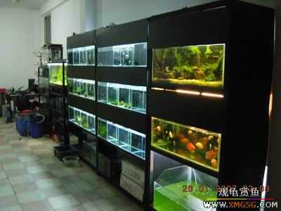 �ϵ�����