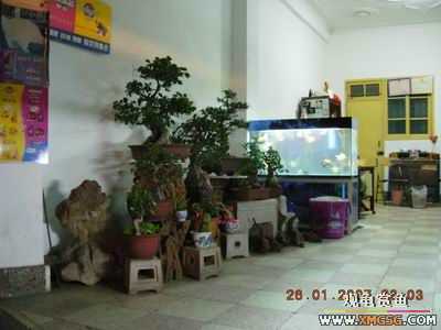 �ϵ�����