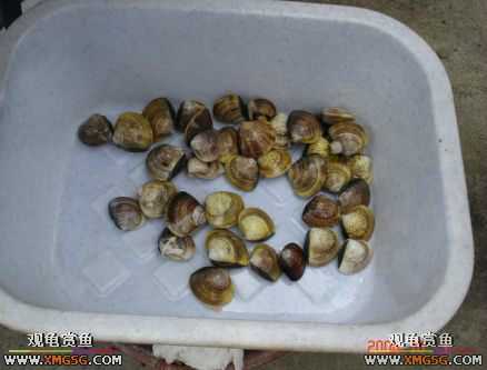 2��4����̳�տ���