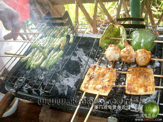 2��4����̳�տ���