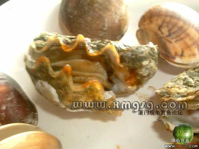 2��4����̳�տ���