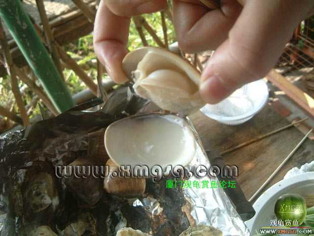 2��4����̳�տ���