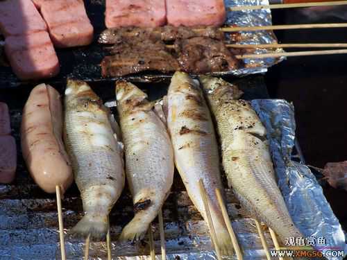 2��4����̳�տ���