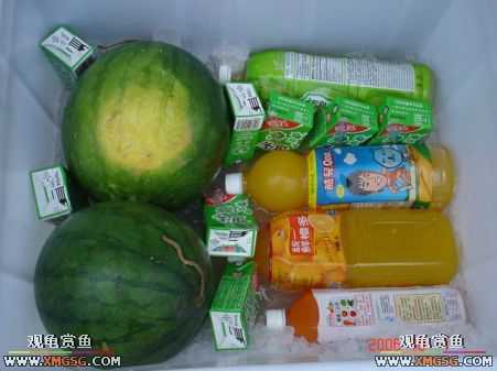 2��4����̳�տ���